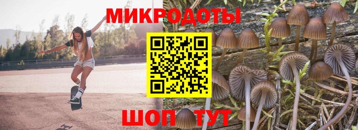 Псилоцибиновые грибы Psilocybine cubensis Железноводск