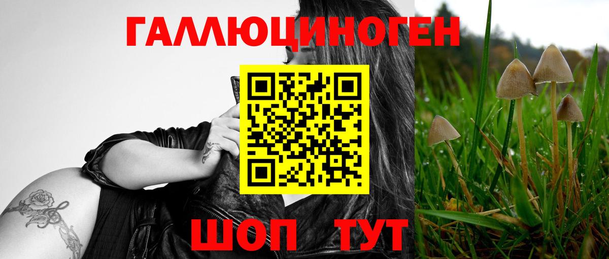 Железноводск  дарнет шоп  Вход с VPN  Галлюциногенные грибы GOLDEN TEACHER 